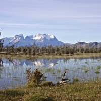 Sumpflandschaft im Torres del Paine-Nationalpark in Patagonien