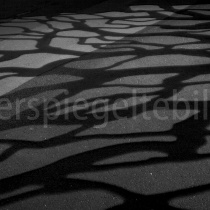 Schatten auf dem Boden vor der Harpa in Reykjavík, Island