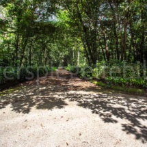 Waldweg im Park der Reggia di Caserta