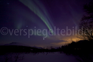 Polarlichter bei Tromsø,